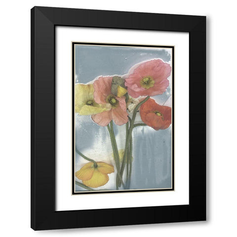 Poppy Spray II Black Modern Wood Framed Art Print with Double Matting by Goldberger, Jennifer