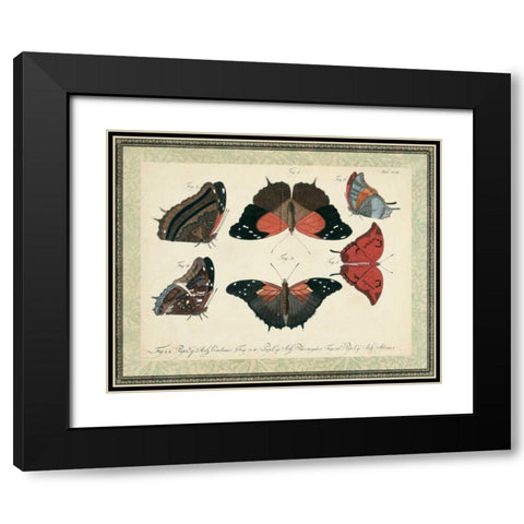 Bookplate Butterflies Trio II Black Modern Wood Framed Art Print with Double Matting by Vision Studio