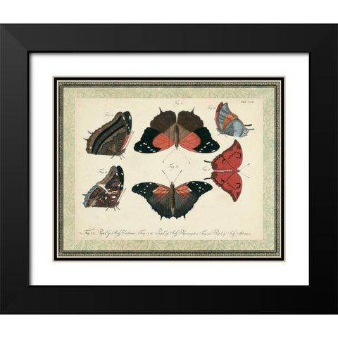 Bookplate Butterflies Trio II Black Modern Wood Framed Art Print with Double Matting by Vision Studio