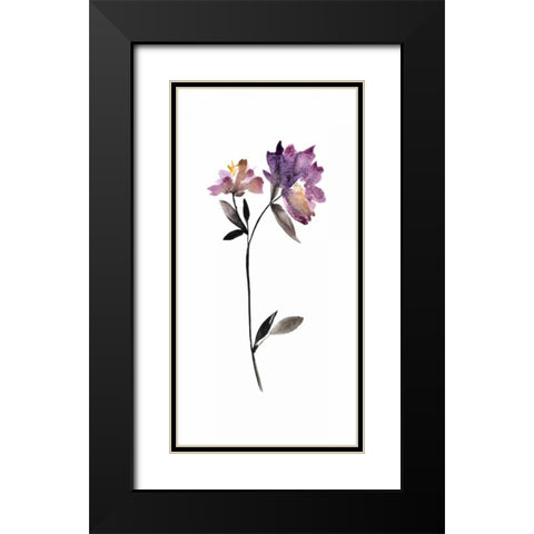 Floral Watercolor III Black Modern Wood Framed Art Print with Double Matting by Mosley, Kiana