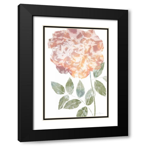 Watercolor Bloom III Black Modern Wood Framed Art Print with Double Matting by Goldberger, Jennifer