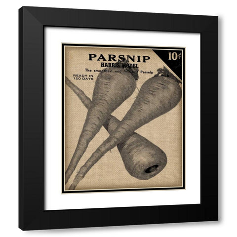 Vintage Seed Pack IV Black Modern Wood Framed Art Print with Double Matting by Vision Studio