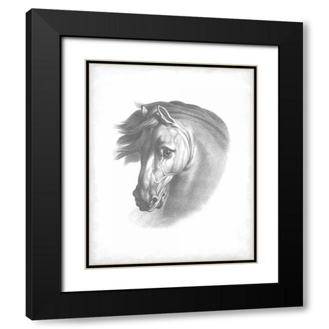 Equestrian Blueprint I Black Modern Wood Framed Art Print with Double Matting by Vision Studio