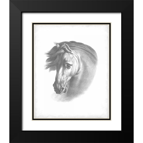 Equestrian Blueprint I Black Modern Wood Framed Art Print with Double Matting by Vision Studio