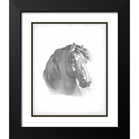 Equestrian Blueprint II Black Modern Wood Framed Art Print with Double Matting by Vision Studio