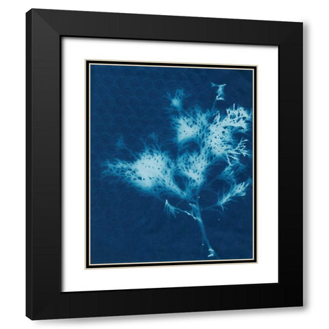 Cyanotype No.3 Black Modern Wood Framed Art Print with Double Matting by Stramel, Renee W.