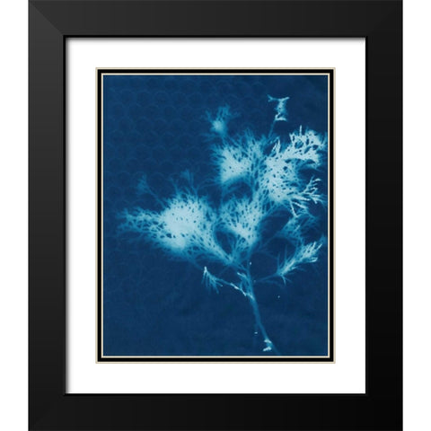 Cyanotype No.3 Black Modern Wood Framed Art Print with Double Matting by Stramel, Renee W.