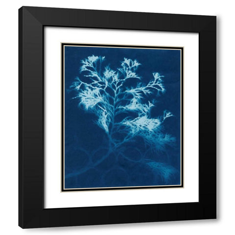 Cyanotype No.4 Black Modern Wood Framed Art Print with Double Matting by Stramel, Renee W.
