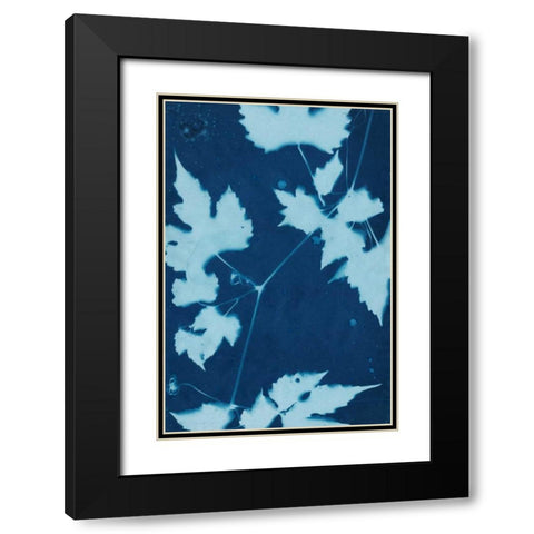 Cyanotype No.9 Black Modern Wood Framed Art Print with Double Matting by Stramel, Renee W.