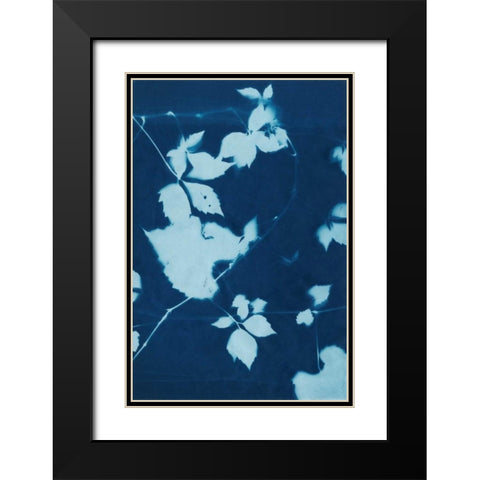 Cyanotype No.11 Black Modern Wood Framed Art Print with Double Matting by Zarris, Chariklia