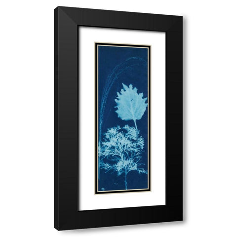 Cyanotype No.13 Black Modern Wood Framed Art Print with Double Matting by Guthrie, Jenna