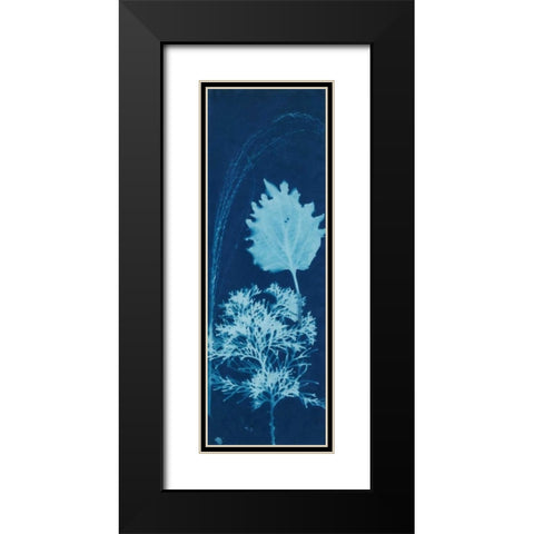 Cyanotype No.13 Black Modern Wood Framed Art Print with Double Matting by Guthrie, Jenna