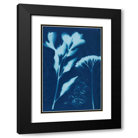 Cyanotype No.15 Black Modern Wood Framed Art Print with Double Matting by Guthrie, Jenna