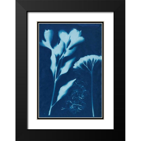 Cyanotype No.15 Black Modern Wood Framed Art Print with Double Matting by Guthrie, Jenna