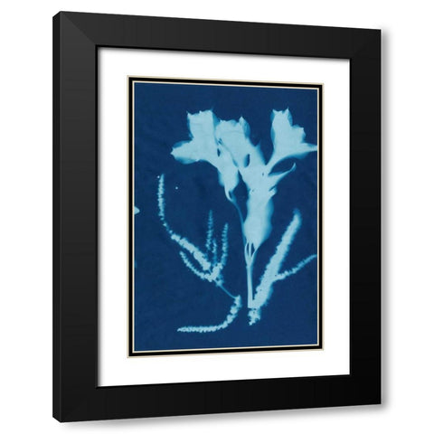 Cyanotype No.17 Black Modern Wood Framed Art Print with Double Matting by Guthrie, Jenna