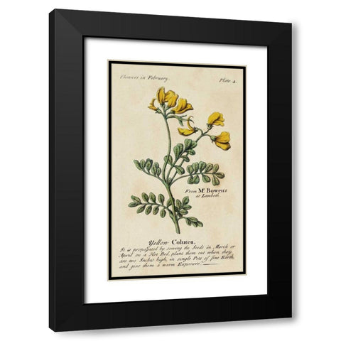 Gardeners Guide I Black Modern Wood Framed Art Print with Double Matting by Unknown