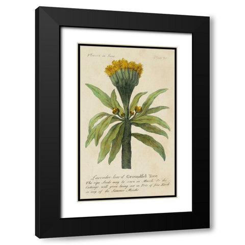 Gardeners Guide IV Black Modern Wood Framed Art Print with Double Matting by Unknown