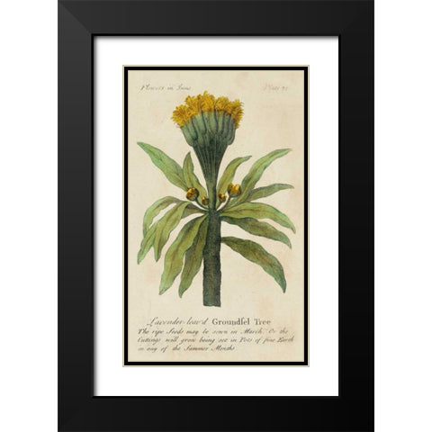 Gardeners Guide IV Black Modern Wood Framed Art Print with Double Matting by Unknown