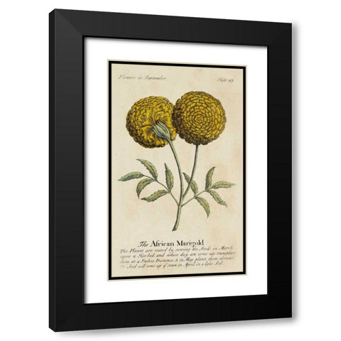 Gardeners Guide V Black Modern Wood Framed Art Print with Double Matting by Unknown