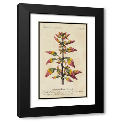 Gardeners Guide VI Black Modern Wood Framed Art Print with Double Matting by Unknown