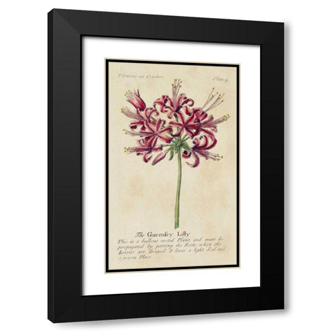 Gardeners Guide VII Black Modern Wood Framed Art Print with Double Matting by Unknown