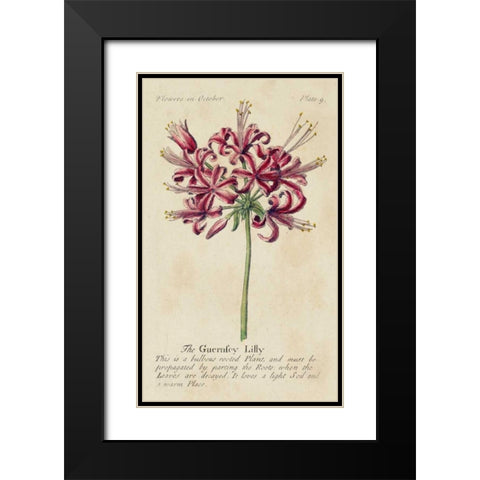 Gardeners Guide VII Black Modern Wood Framed Art Print with Double Matting by Unknown