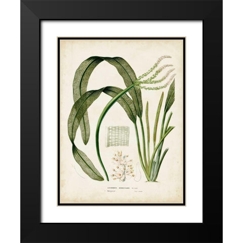 Tropical Grass I Black Modern Wood Framed Art Print with Double Matting by Vision Studio