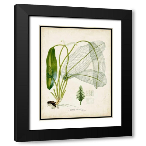 Tropical Grass II Black Modern Wood Framed Art Print with Double Matting by Vision Studio