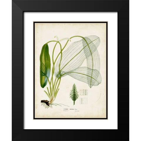 Tropical Grass II Black Modern Wood Framed Art Print with Double Matting by Vision Studio