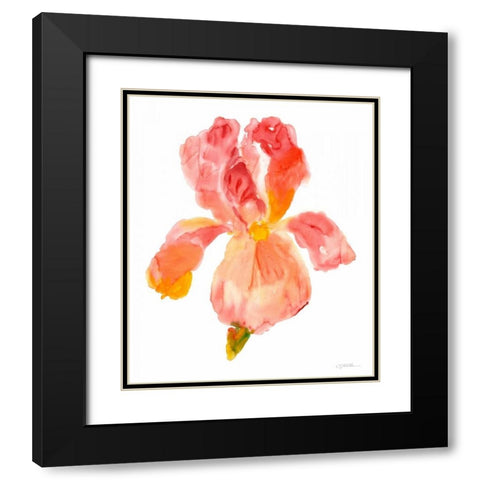 Sunset Blooms II Black Modern Wood Framed Art Print with Double Matting by OToole, Tim