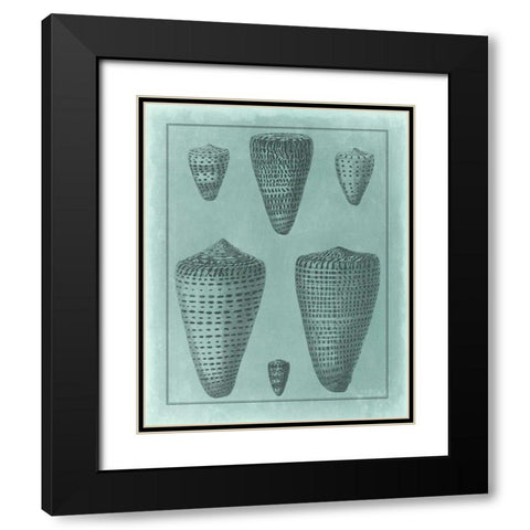 Spa Shell Collection I Black Modern Wood Framed Art Print with Double Matting by Vision Studio