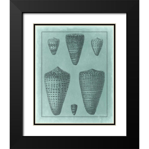 Spa Shell Collection I Black Modern Wood Framed Art Print with Double Matting by Vision Studio