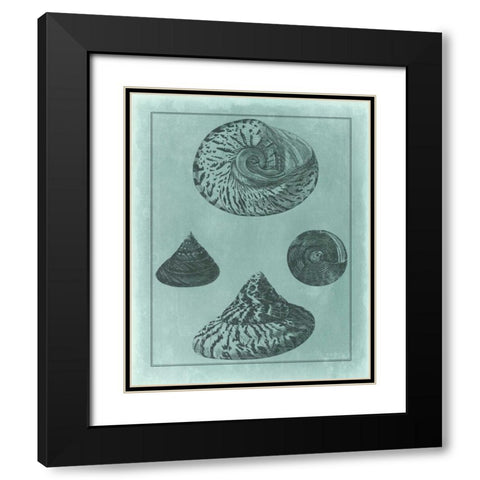 Spa Shell Collection II Black Modern Wood Framed Art Print with Double Matting by Vision Studio