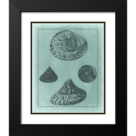 Spa Shell Collection II Black Modern Wood Framed Art Print with Double Matting by Vision Studio