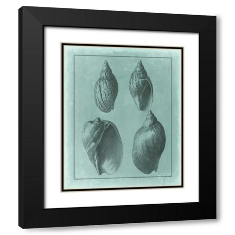 Spa Shell Collection III Black Modern Wood Framed Art Print with Double Matting by Vision Studio