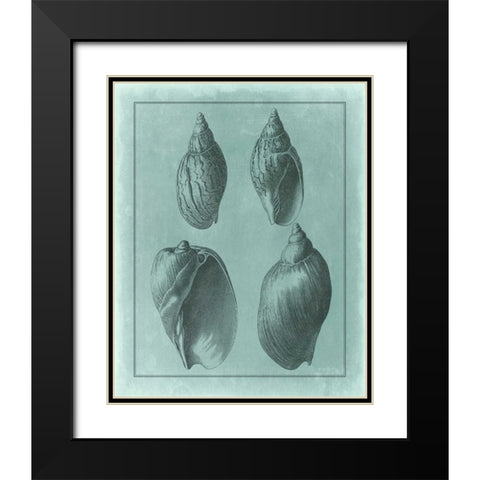 Spa Shell Collection III Black Modern Wood Framed Art Print with Double Matting by Vision Studio
