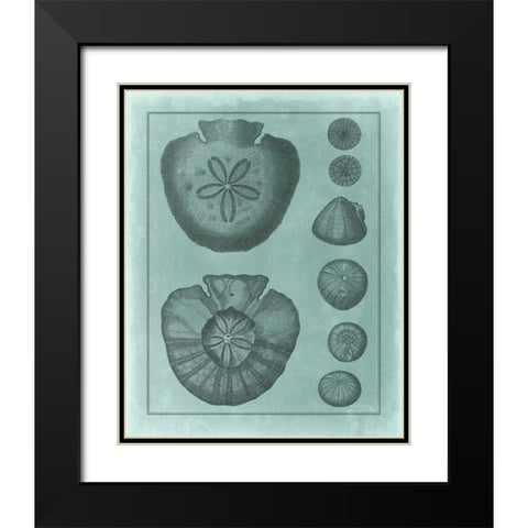 Spa Shell Collection VI Black Modern Wood Framed Art Print with Double Matting by Vision Studio