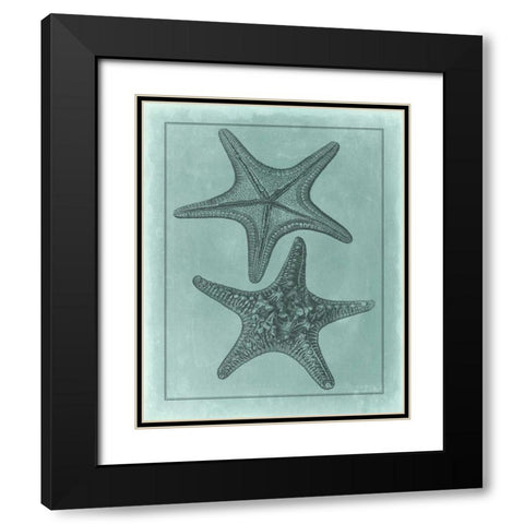 Spa Shell Collection VII Black Modern Wood Framed Art Print with Double Matting by Vision Studio