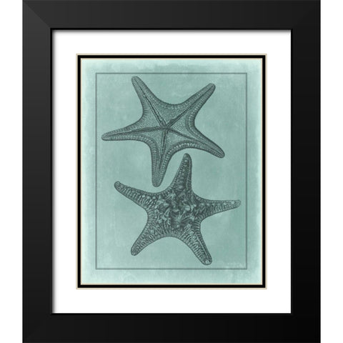 Spa Shell Collection VII Black Modern Wood Framed Art Print with Double Matting by Vision Studio