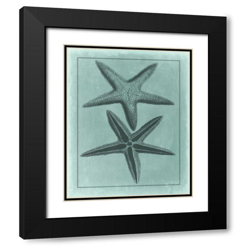 Spa Shell Collection VIII Black Modern Wood Framed Art Print with Double Matting by Vision Studio