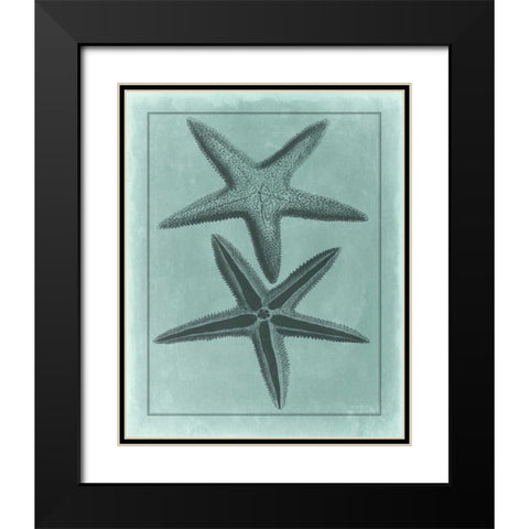 Spa Shell Collection VIII Black Modern Wood Framed Art Print with Double Matting by Vision Studio