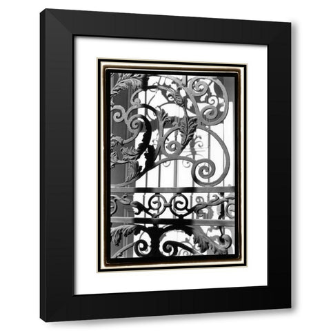 Wrought Iron Elegance II Black Modern Wood Framed Art Print with Double Matting by DeNardo, Laura