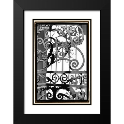 Wrought Iron Elegance II Black Modern Wood Framed Art Print with Double Matting by DeNardo, Laura