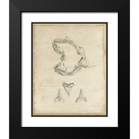 Shark Study II Black Modern Wood Framed Art Print with Double Matting by Harper, Ethan
