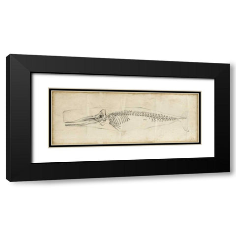 Whale Study II Black Modern Wood Framed Art Print with Double Matting by Harper, Ethan
