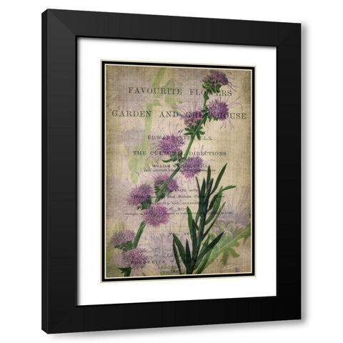 Favorite Flowers I Black Modern Wood Framed Art Print with Double Matting by Butler, John