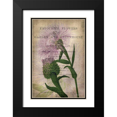 Favorite Flowers II Black Modern Wood Framed Art Print with Double Matting by Butler, John