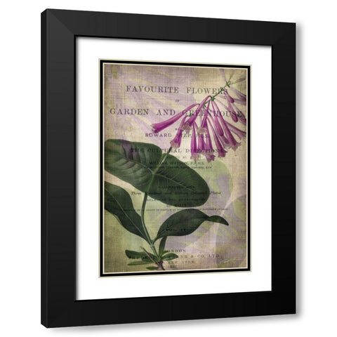 Favorite Flowers III Black Modern Wood Framed Art Print with Double Matting by Butler, John