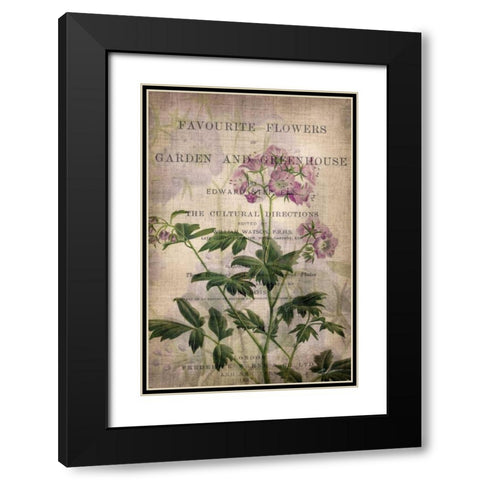 Favorite Flowers IV Black Modern Wood Framed Art Print with Double Matting by Butler, John