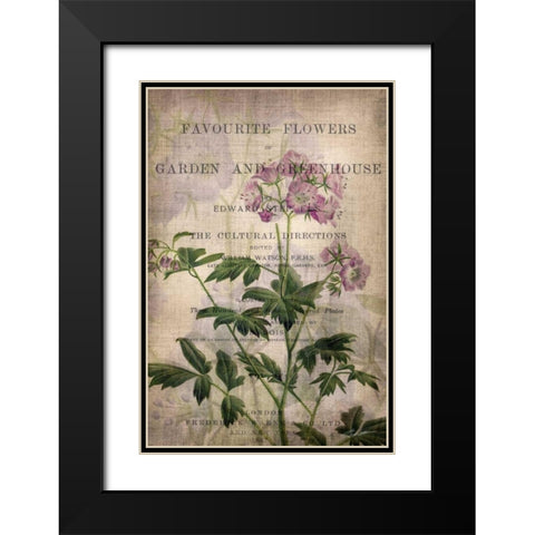 Favorite Flowers IV Black Modern Wood Framed Art Print with Double Matting by Butler, John